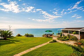 PALM BEACH ŞİLE