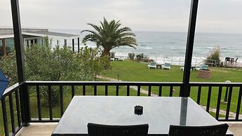 PALM BEACH ŞİLE