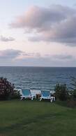 PALM BEACH ŞİLE