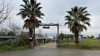 PALM BEACH ŞİLE