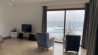 PALM BEACH ŞİLE