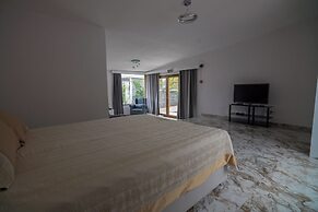 PALM BEACH ŞİLE