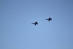 6035 Rookery 3 Dog Yes, Beach Supplies, 2 Pools