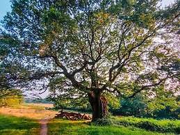 The Sandy Studio Flat in Petersham