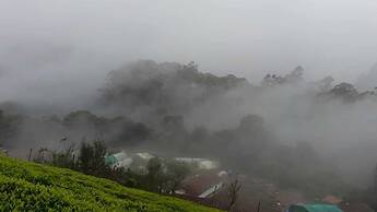 Wild and Free Farm Stay