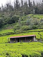 Wild and Free Farm Stay