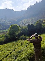 Wild and Free Farm Stay