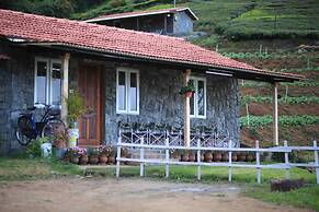 Wild and Free Farm Stay