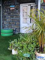 Wild and Free Farm Stay