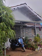 Wild and Free Farm Stay