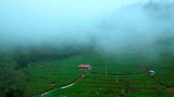 Wild and Free Farm Stay