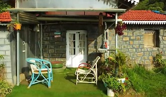 Wild and Free Farm Stay