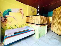CoCo Bongo Hostel