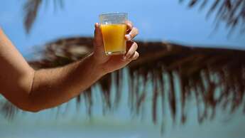 Pousada Paraiso das Tartarugas