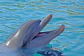 Coastal Breeze Siesta Entire 4-unit Complex With Dock