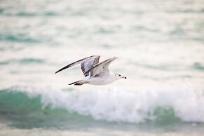 Lulu's Crescent Cottages - Entire two Unit Complex