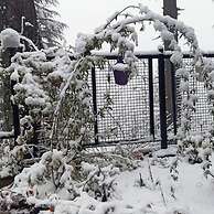 Majestic View Cottages