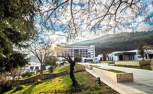 Tsar Samuil Hotel