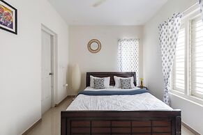 Aira Luxe by Red Olivebyg Brewskiwifi