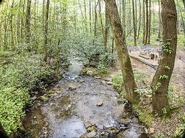 Cozy Cohutta Cabin: Creekside Cabin in Ellijay!