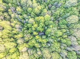 Cozy Cohutta Cabin: Creekside Cabin in Ellijay!