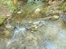 Cozy Cohutta Cabin: Creekside Cabin in Ellijay!