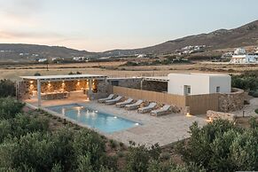 Villa Anali Kastraki Naxos