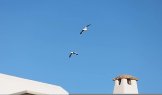 Villa Anali Kastraki Naxos