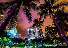 When the City Becomes a Canvas Terrace Pool Gym