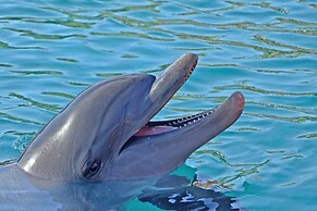 Lido Dream Combined Duplex Both N & S