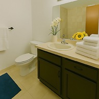 Beautiful House with Yard in Bellevue