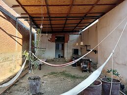 Iguana Co-living