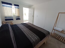 Iguana Co-living