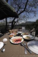 Sarins State Side Mistville