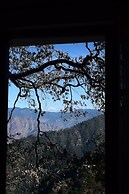 Sarins State Side Mistville