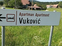 Holiday Apartment Vuković