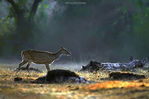 Coorg Wild Walk- CGH Earth Saha