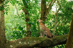 Coorg Wild Walk- CGH Earth Saha