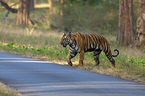 Coorg Wild Walk- CGH Earth Saha