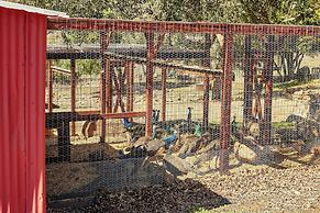 28 Mi to San Diego: Farmhouse on 320 Acres