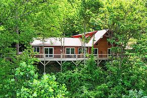 Waynesville Romantic Hideaway w/ Private Hot Tub
