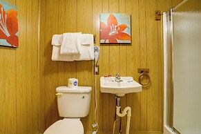 Greers Ferry Lake Escape: Cabin w/ Pool Access