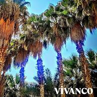 Softa Vivanco Hotel