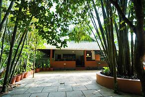 Holiday Courtyard