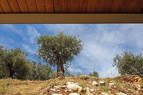 Villa Ouranos by WhiteDream Villas