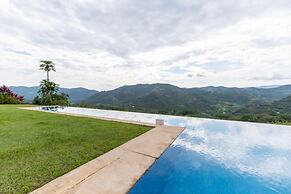 Yeguas Z26 by Wynwood House