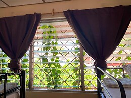 Mountain View hostel