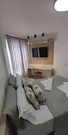 Studio Design 3 - Lions
