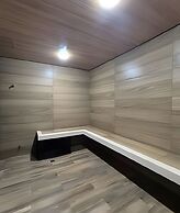 Studio Design 3 - Lions