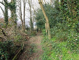Beech Lodge